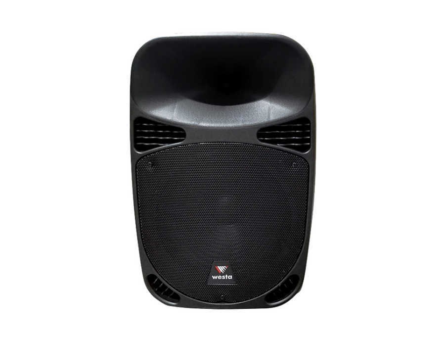  12 İnç 30cm 2 Yollu Max. 300 Watt Aktif Kabin Hoparlör